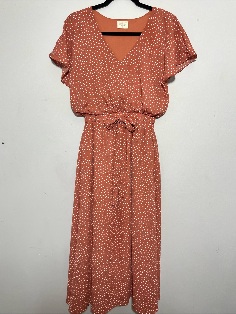 Polka Dot V-Neck Midi Dress